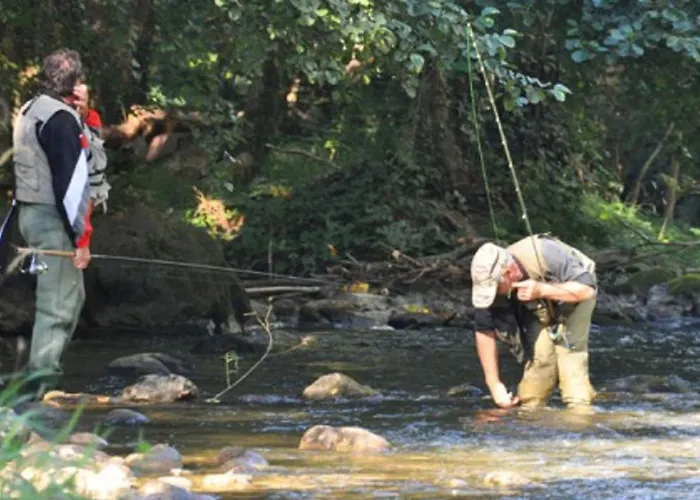 キャンプ場 Mobil-home 2 Pers. Avec Terrasse A - Api-1-52-1188